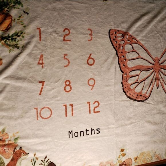 New Baby  Milestone Blanket - Picture 1 of 8